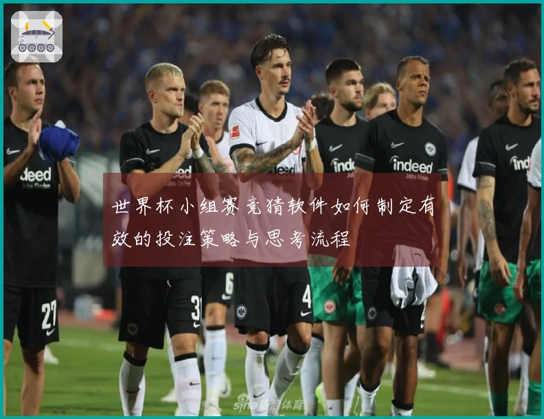 世界杯小组赛竞猜软件如何制定有效的投注策略与思考流程