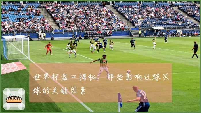 世界杯盘口揭秘：那些影响让球买球的关键因素