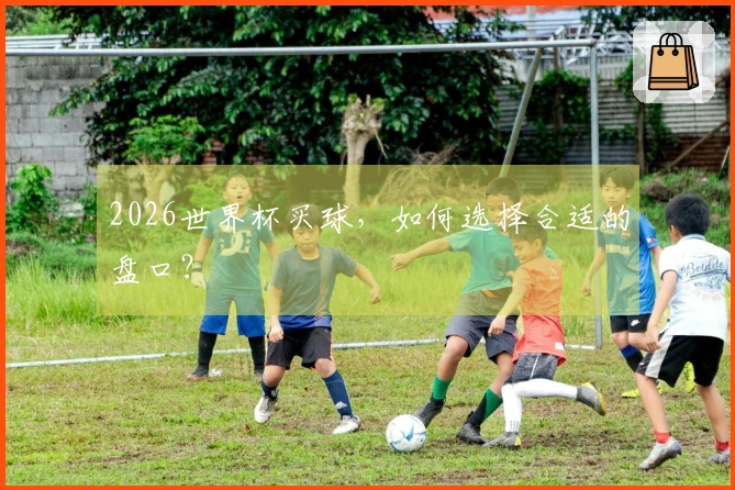 2026世界杯买球，如何选择合适的盘口？