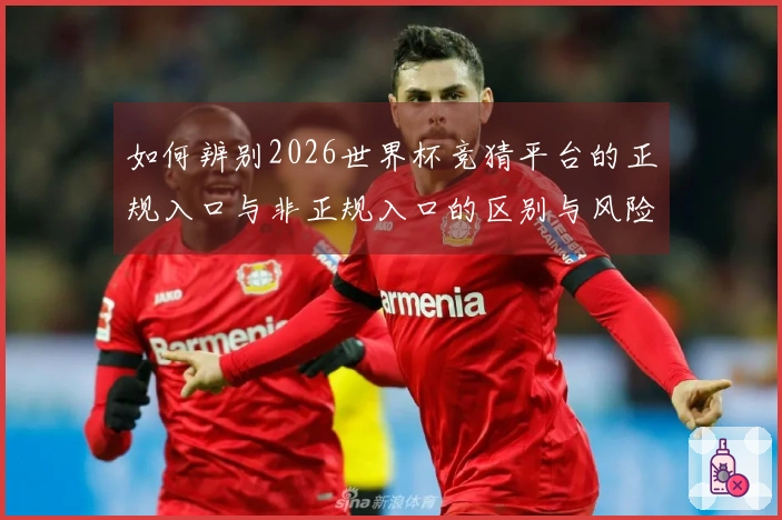 如何辨别2026世界杯竞猜平台的正规入口与非正规入口的区别与风险