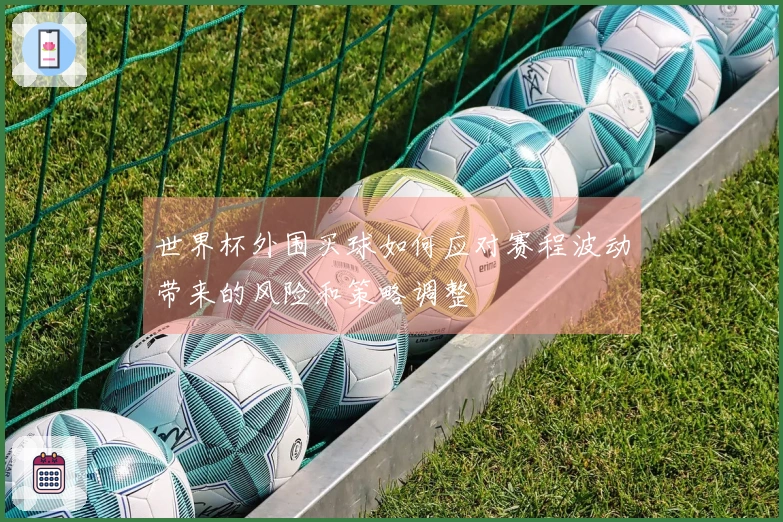世界杯外围买球如何应对赛程波动带来的风险和策略调整