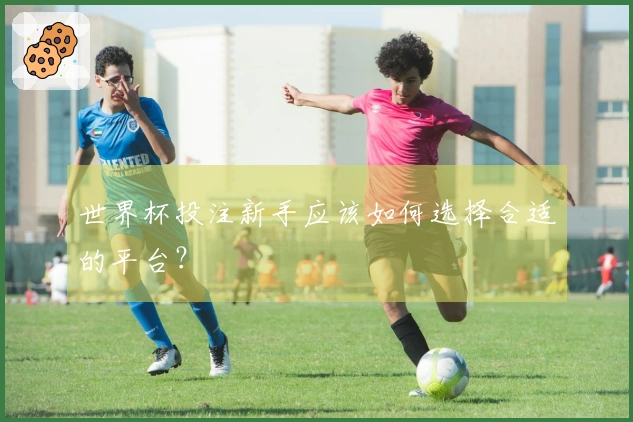 世界杯投注新手应该如何选择合适的平台？