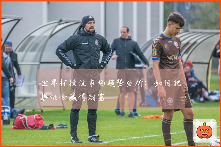 世界杯投注市场趋势分析：如何把握机会赢得财富