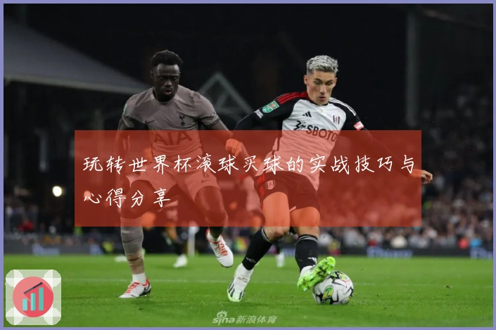 玩转世界杯滚球买球的实战技巧与心得分享