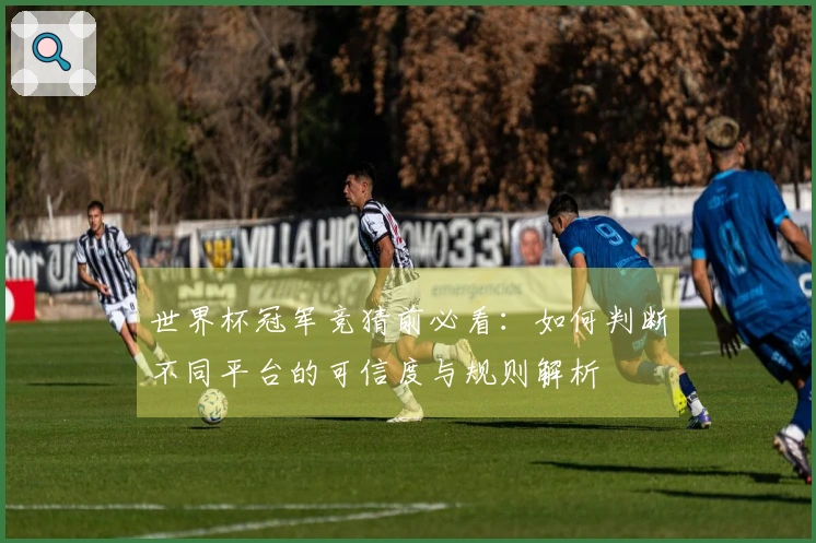 世界杯冠军竞猜前必看：如何判断不同平台的可信度与规则解析