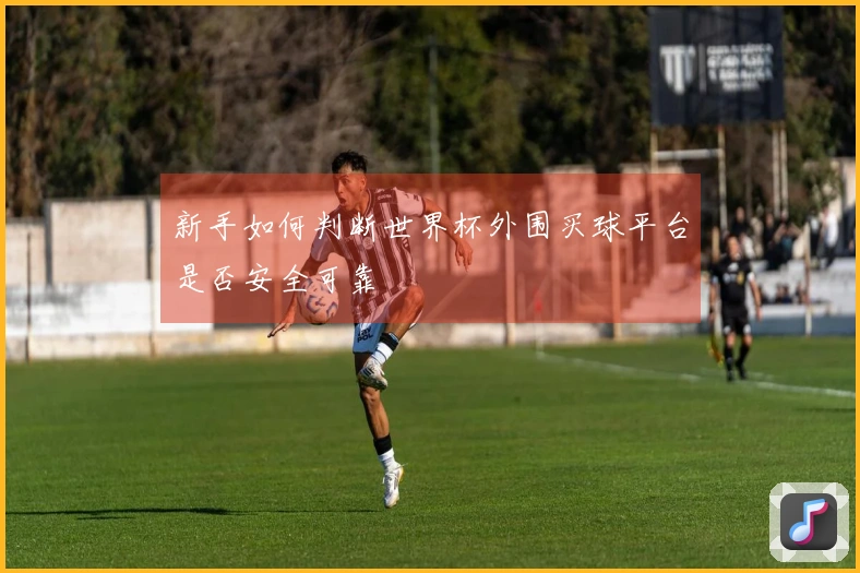 新手如何判断世界杯外围买球平台是否安全可靠