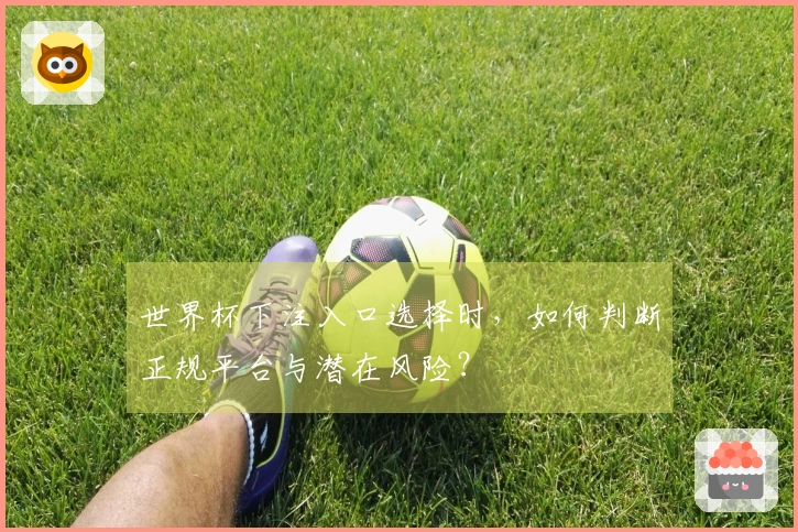 世界杯下注入口选择时，如何判断正规平台与潜在风险？