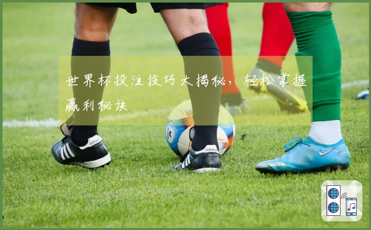 世界杯投注技巧大揭秘，轻松掌握赢利秘诀