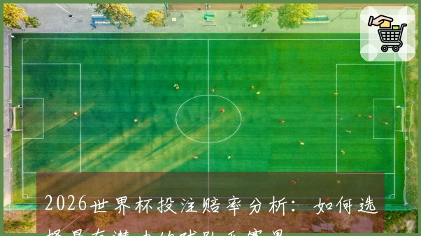 2026世界杯投注赔率分析：如何选择最有潜力的球队和赛果