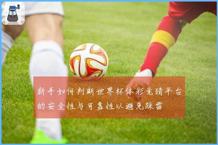 新手如何判断世界杯体彩竞猜平台的安全性与可靠性以避免踩雷