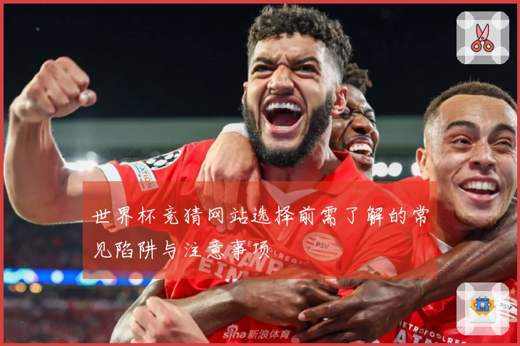 世界杯竞猜网站选择前需了解的常见陷阱与注意事项