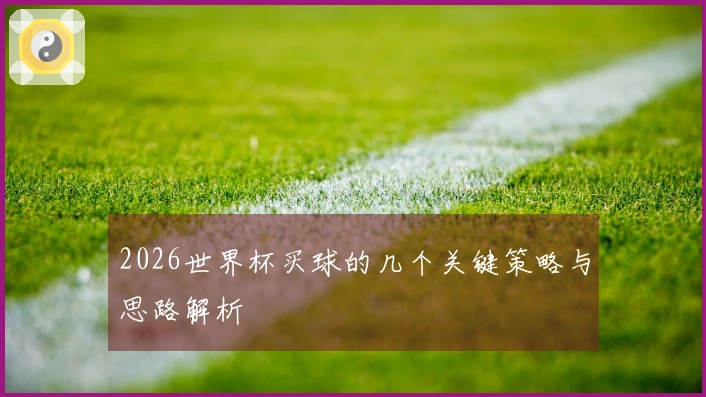 2026世界杯买球的几个关键策略与思路解析