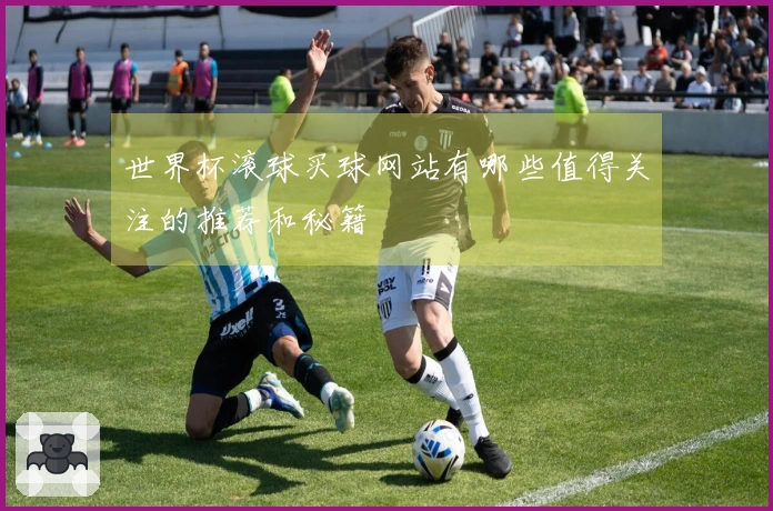 世界杯滚球买球网站有哪些值得关注的推荐和秘籍
