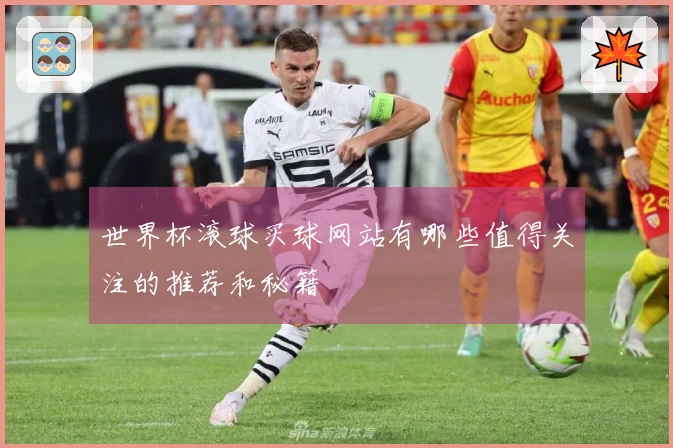 世界杯滚球买球网站有哪些值得关注的推荐和秘籍