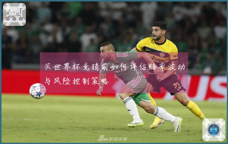 买世界杯竞猜前如何评估赔率波动与风险控制策略