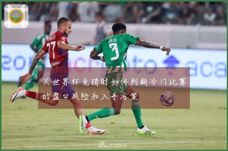 买世界杯竞猜时如何判断冷门比赛的盘口风险和入手方案