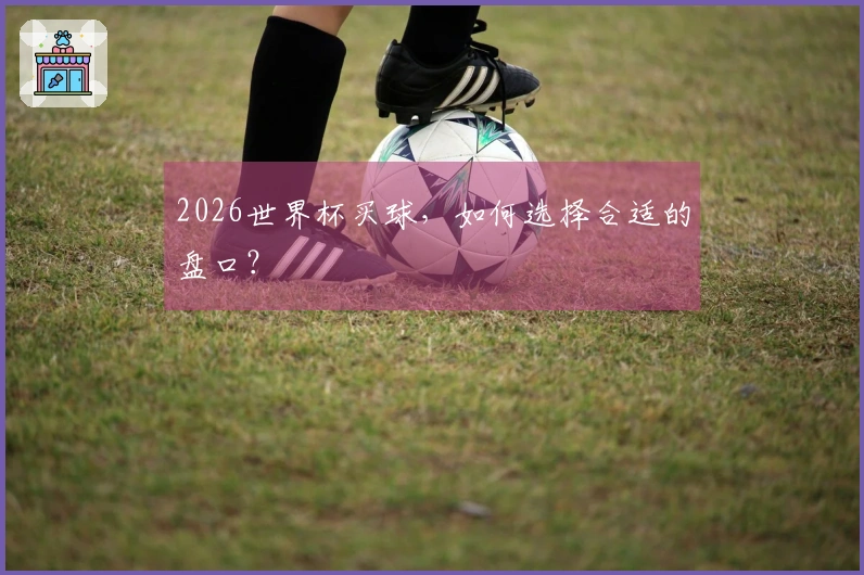 2026世界杯买球，如何选择合适的盘口？
