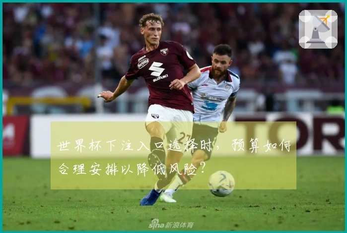 世界杯下注入口选择时，预算如何合理安排以降低风险？