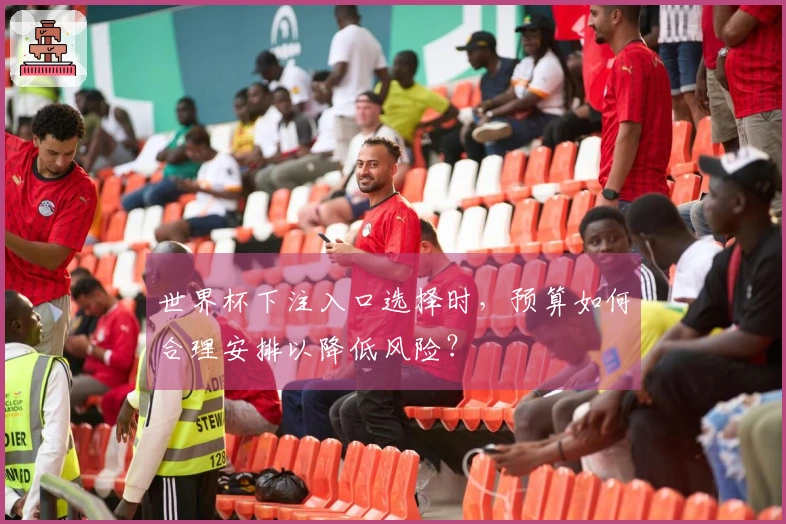 世界杯下注入口选择时，预算如何合理安排以降低风险？