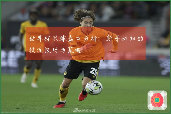 世界杯买球盘口分析：新手必知的投注技巧与策略