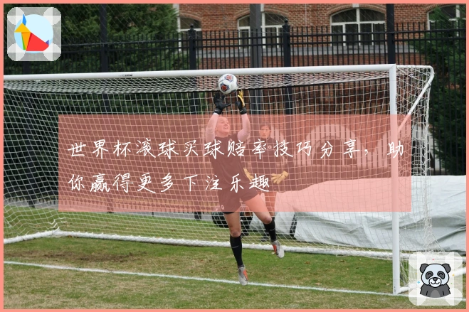 世界杯滚球买球赔率技巧分享，助你赢得更多下注乐趣