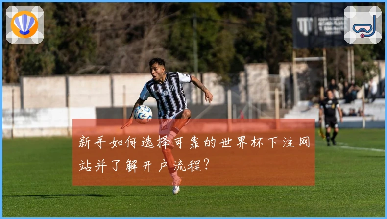 新手如何选择可靠的世界杯下注网站并了解开户流程？