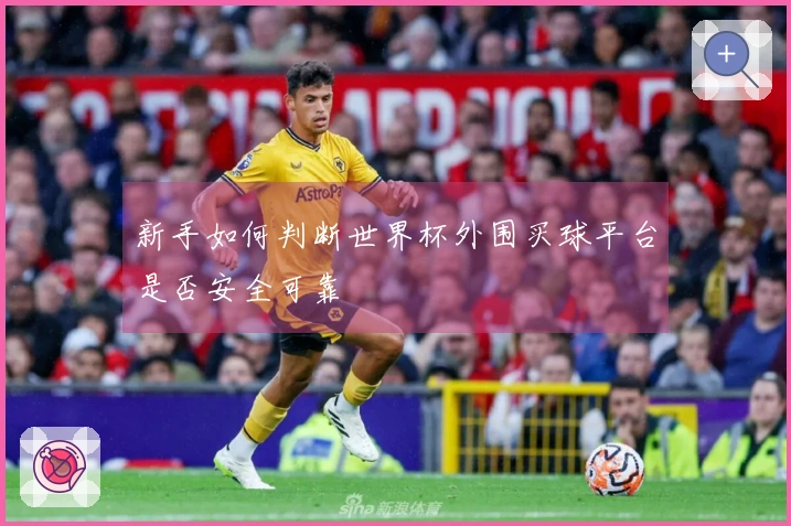 新手如何判断世界杯外围买球平台是否安全可靠