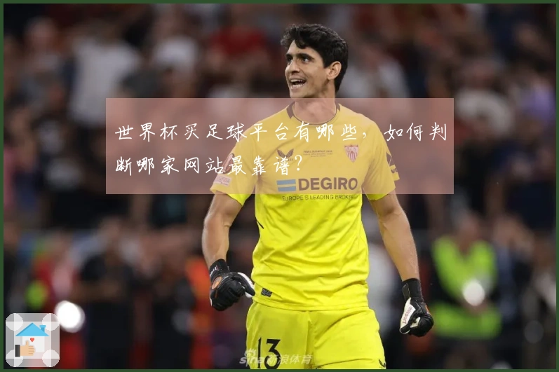 世界杯买足球平台有哪些，如何判断哪家网站最靠谱？