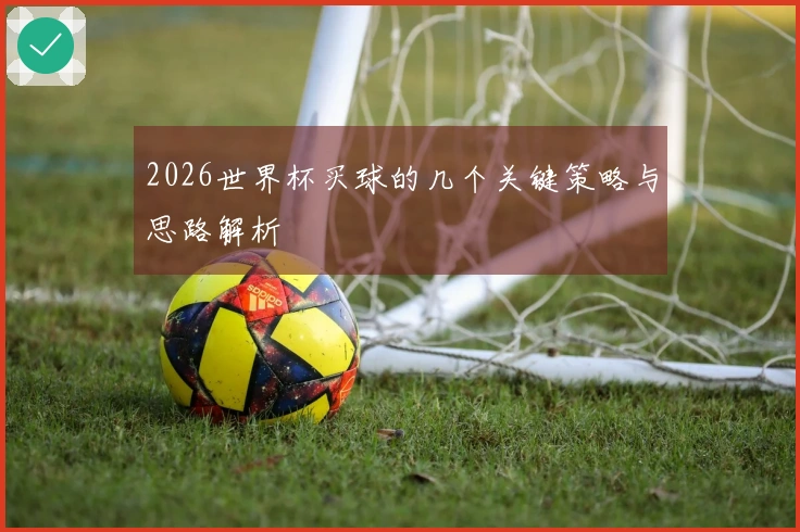 2026世界杯买球的几个关键策略与思路解析