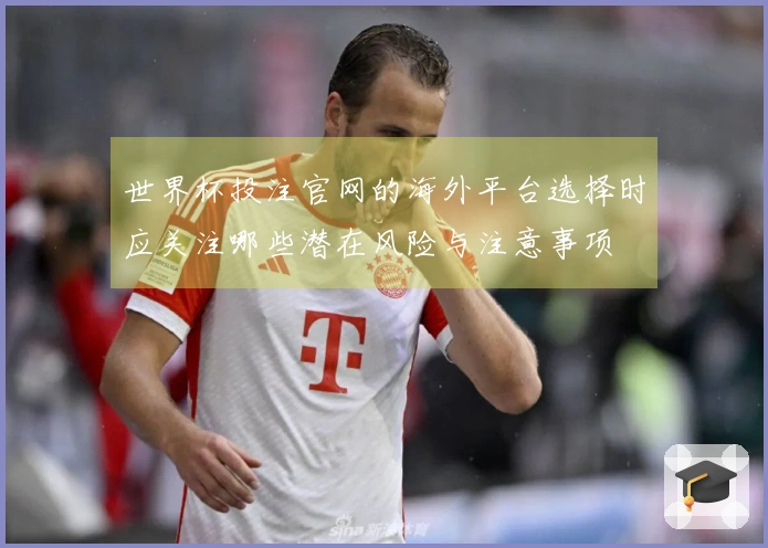 世界杯投注官网的海外平台选择时应关注哪些潜在风险与注意事项