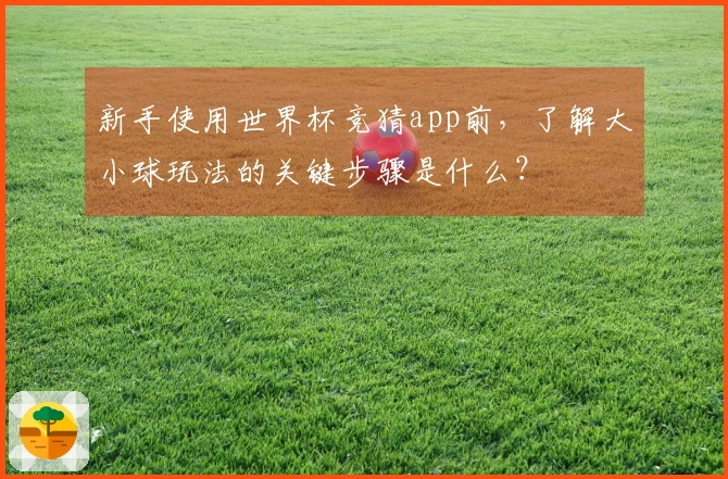 新手使用世界杯竞猜app前，了解大小球玩法的关键步骤是什么？