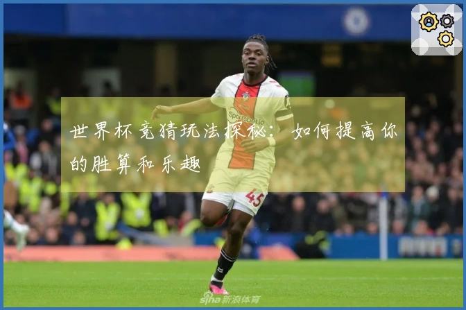 世界杯竞猜玩法探秘：如何提高你的胜算和乐趣