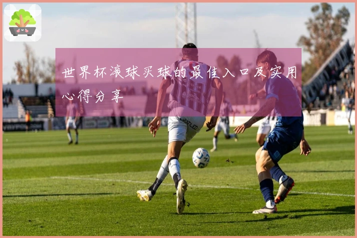 世界杯滚球买球的最佳入口及实用心得分享