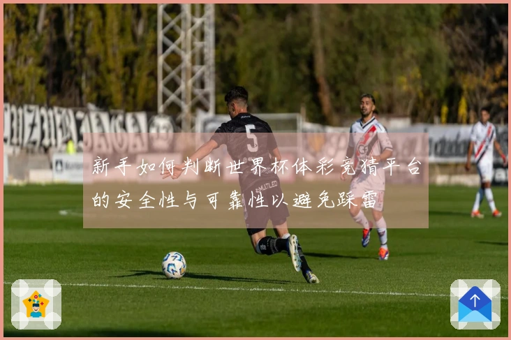 新手如何判断世界杯体彩竞猜平台的安全性与可靠性以避免踩雷