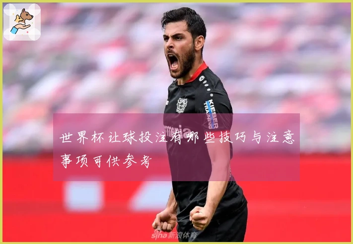 世界杯让球投注有哪些技巧与注意事项可供参考