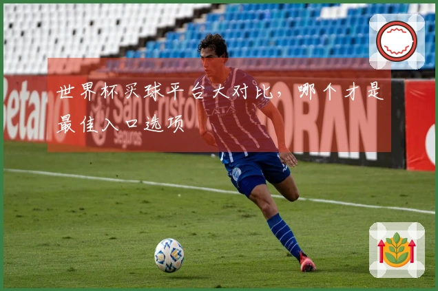 世界杯买球平台大对比，哪个才是最佳入口选项