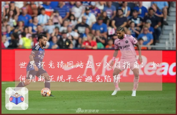 世界杯竞猜网站盘口入门指南：如何判断正规平台避免陷阱